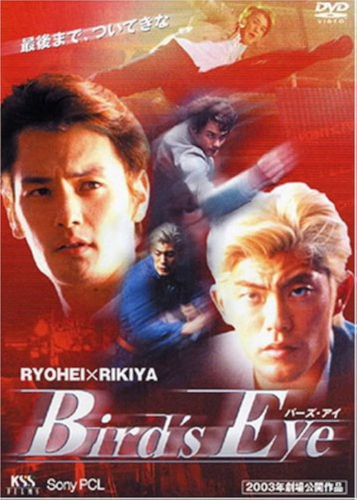 Movie poster for BIRD'S EYE (2003)