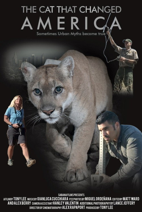 Movie poster for The Cat That Changed America (2017)