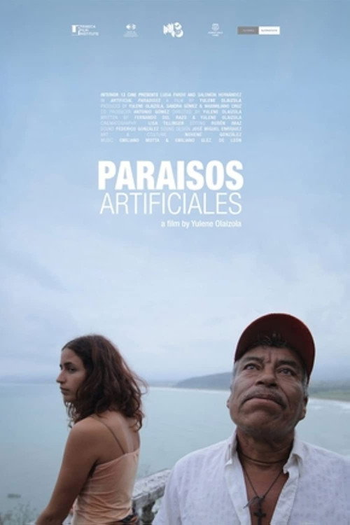 Movie poster for Paraísos artificiales (2011)