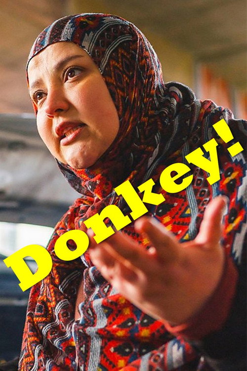 Movie poster for Donkey (2025)