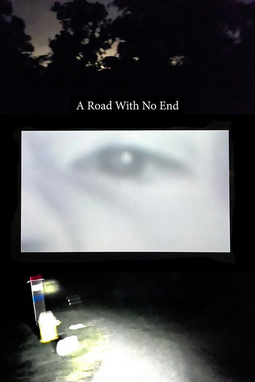 Movie poster for A Road With No End (2024)