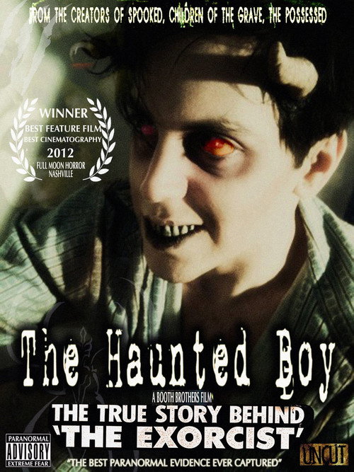 Movie poster for The Haunted Boy: The Secret Diary of the Exorcist (2010)