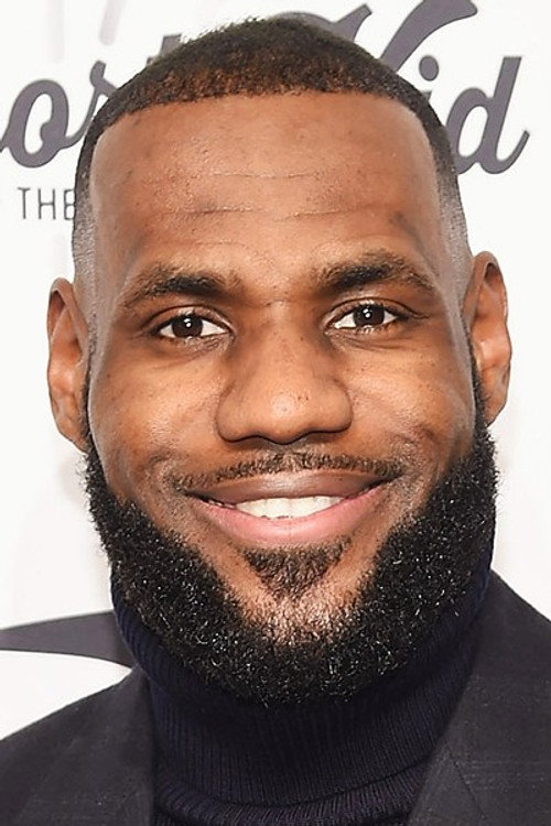 Photo of LeBron James, Acting