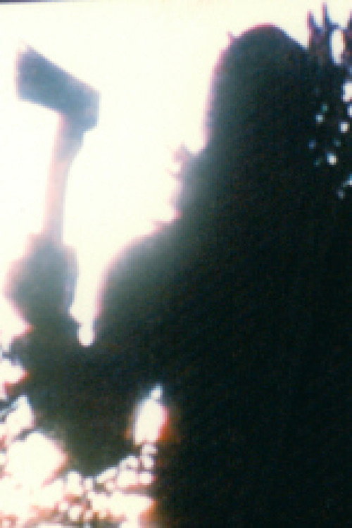 Movie poster for Dementia (1991)