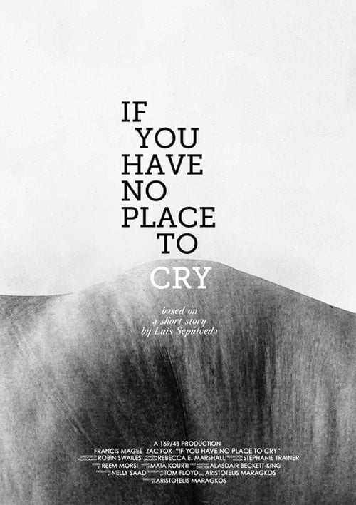 Movie poster for If You Have No Place to Cry (2011)