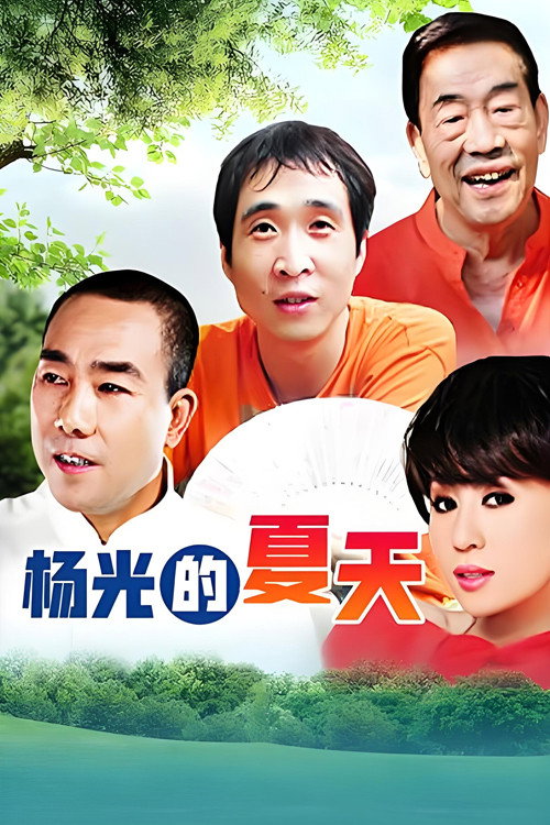 杨光的夏天 poster