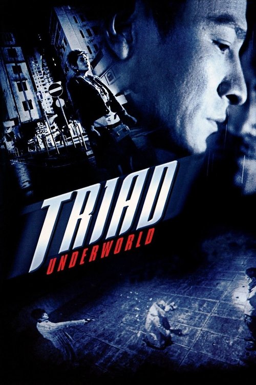 Movie poster for Jiang Hu (2004)