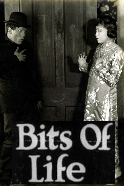 Movie poster for Bits of Life (1921)