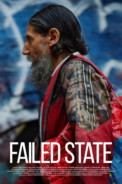 Movie poster for Failed State (2024)