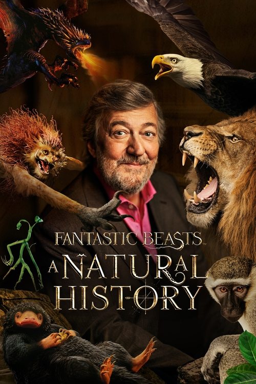 Movie poster for Fantastic Beasts: A Natural History (2022)