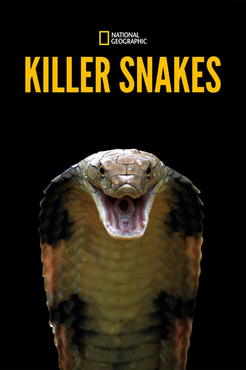 Movie poster for Killer Snakes (2021)