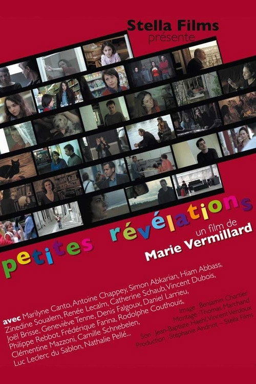 Movie poster for Minor Revelations (2008)