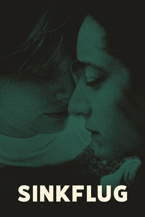 Movie poster for Loss of Altitude (2026)