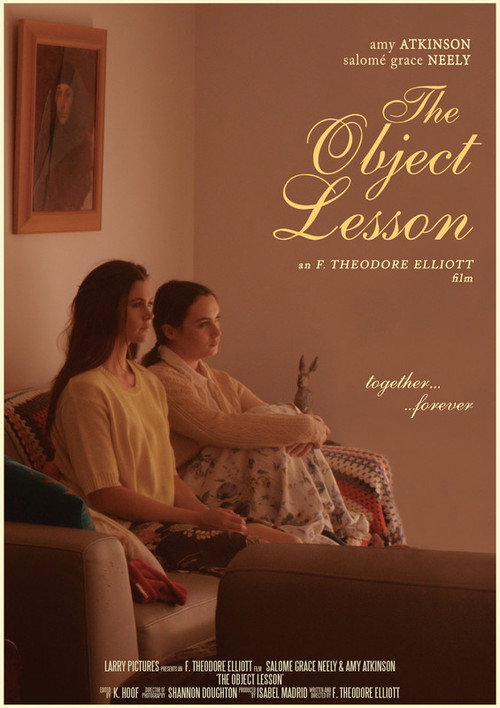 Movie poster for The Object Lesson (2018)