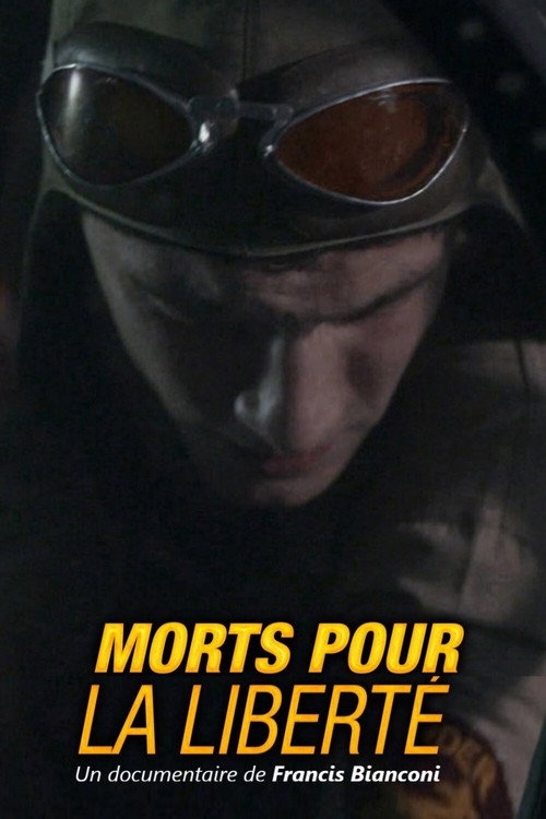 Movie poster for Morts pour la liberté : Le tragique destin du vol « C Charlie » (2016)