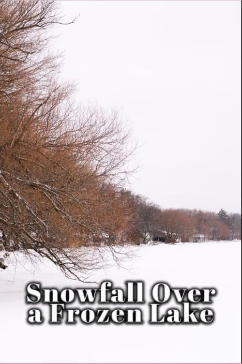 Movie poster for Snowfall Over a Frozen Lake (2023)