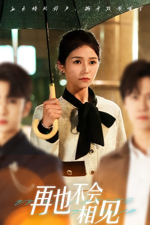 再也不会相见 poster