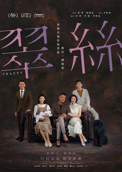 Movie poster for Tracey (2018)