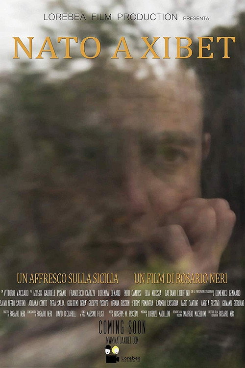 Movie poster for Nato a Xibet (2019)
