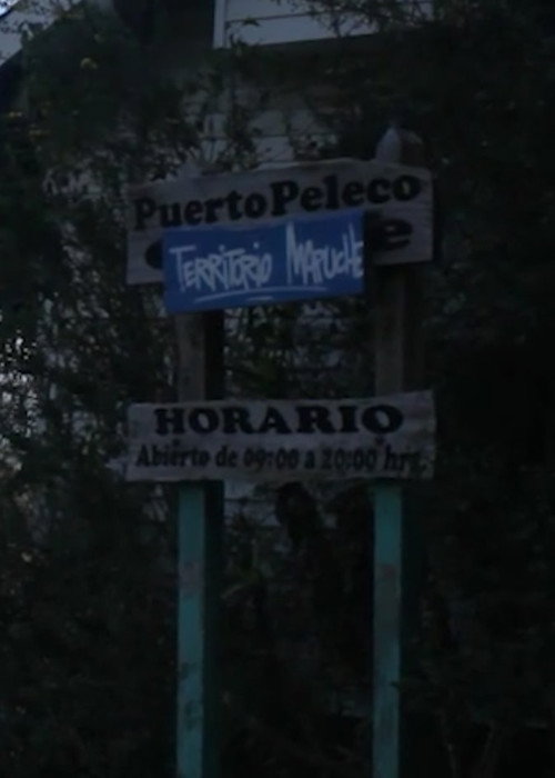 Movie poster for Peleco Port (2023)