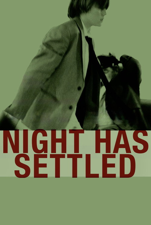Movie poster for Night Has Settled (2014)