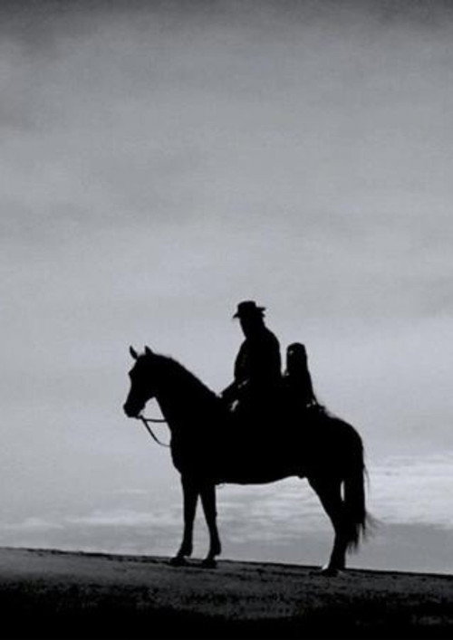 Movie poster for First Horse (2024)