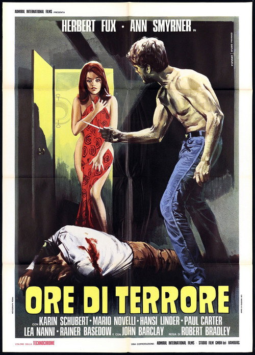 Movie poster for Hours of Terror (1971)