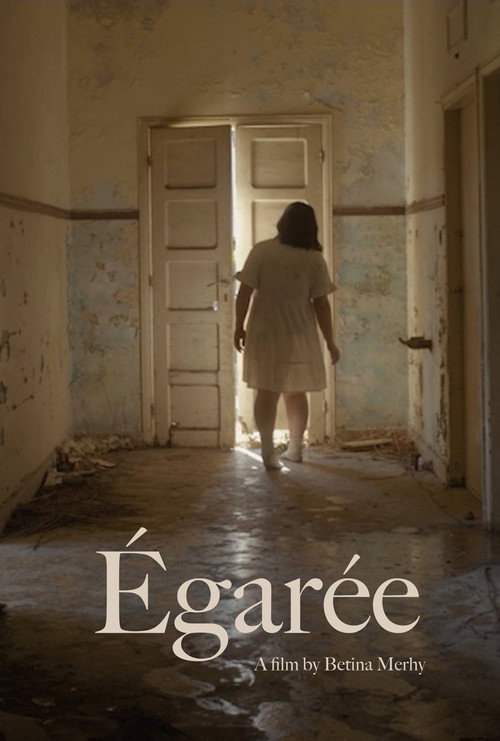 Movie poster for Égarée