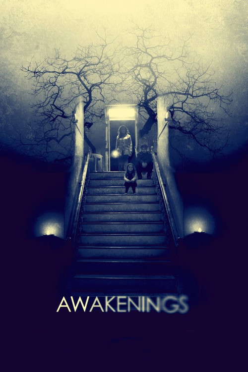 Movie poster for Awakenings (2015)