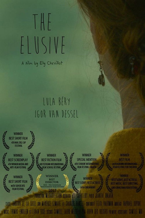 Movie poster for The Elusive (2016)