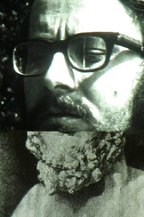 Movie poster for The Beard (1978)