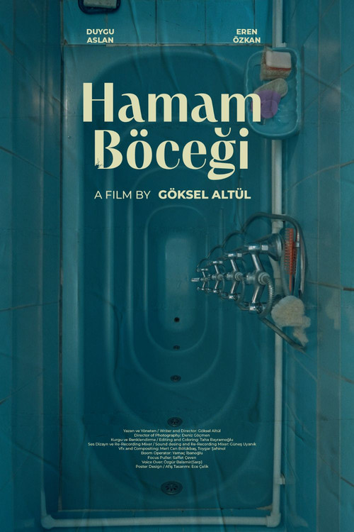 Movie poster for Hamam Böceği (2024)