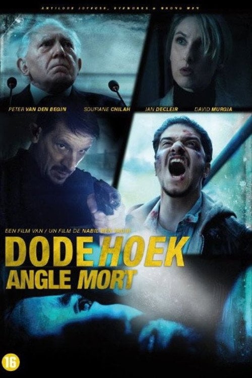Movie poster for The Blind Spot (2017)