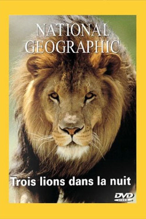 Movie poster for National Geographic : Trois lions dans la nuit (2002)