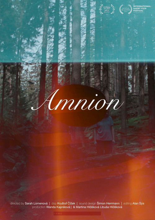 Movie poster for Amnion (2025)