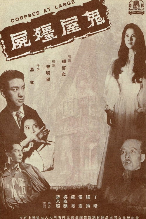 Movie poster for Zombie in a Haunted House (1959)