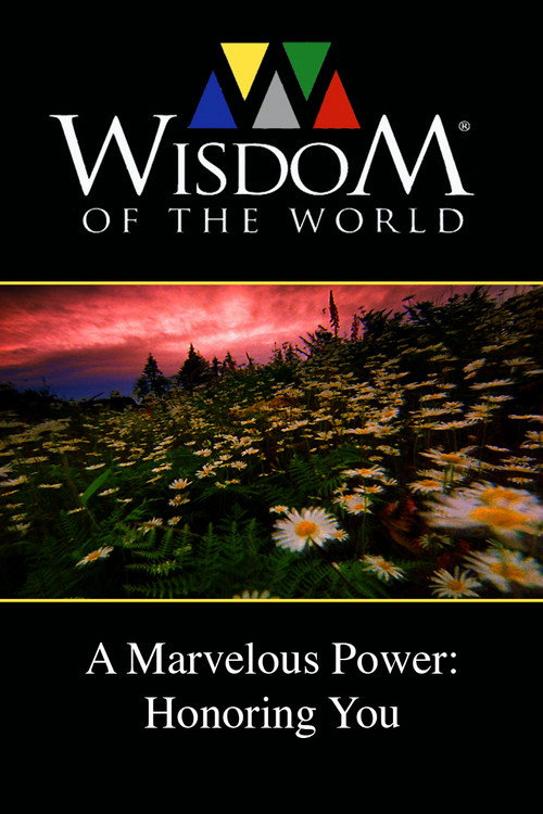 Movie poster for A Marvelous Power: Honoring You (2011)