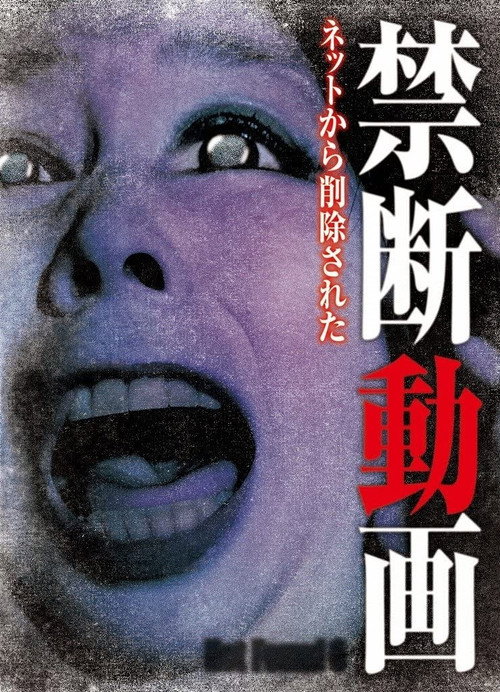 Movie poster for Not Found 6 (2012)