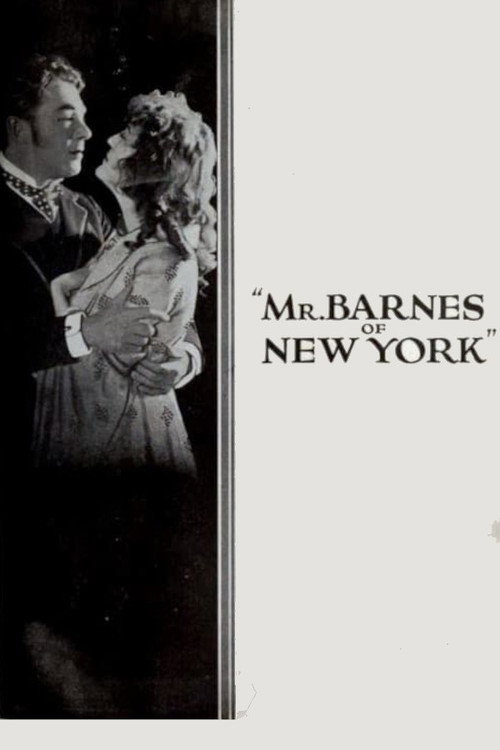 Movie poster for Mr. Barnes of New York (1922)