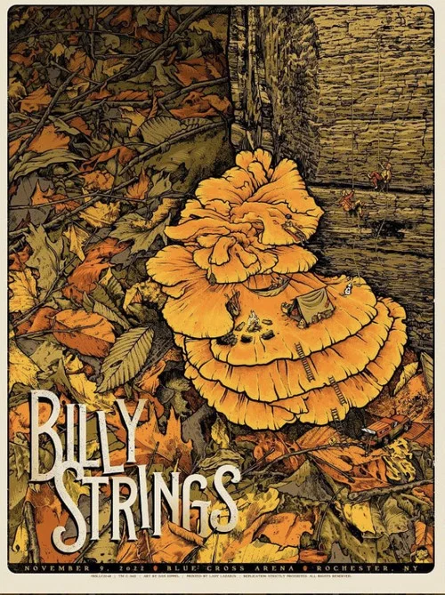 Movie poster for Billy Strings | 2022.11.09 — Blue Cross Arena - Rochester, NY (2022)