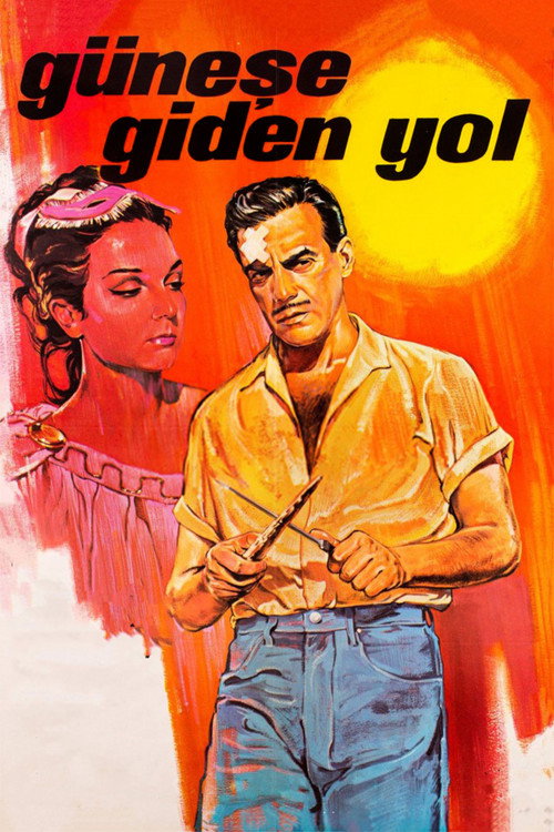 Movie poster for Güneşe Giden Yol (1965)