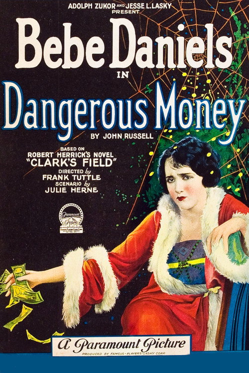 Movie poster for Dangerous Money (1924)