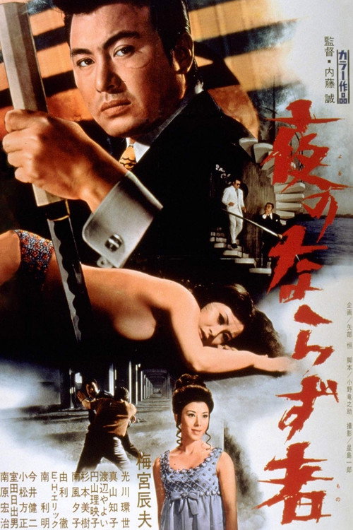 Movie poster for Rogue Of The Night (1972)