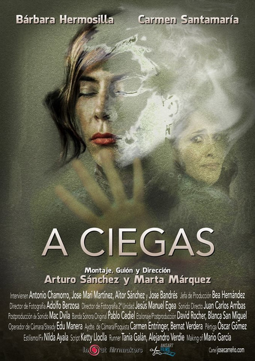 Movie poster for A ciegas (2016)