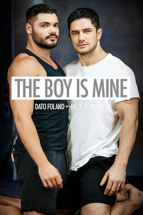 Movie poster for The Boy Is Mine (2017)