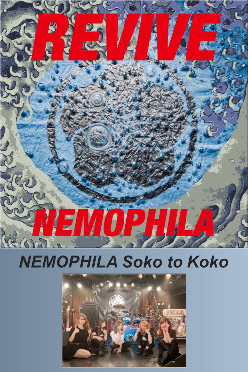 Movie poster for NEMOPHILA Soko to Koko (2021)