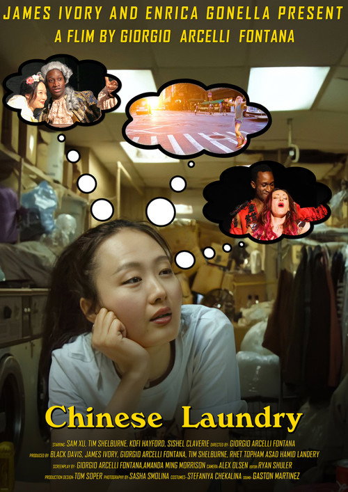Movie poster for Chinese Laundry (2022)