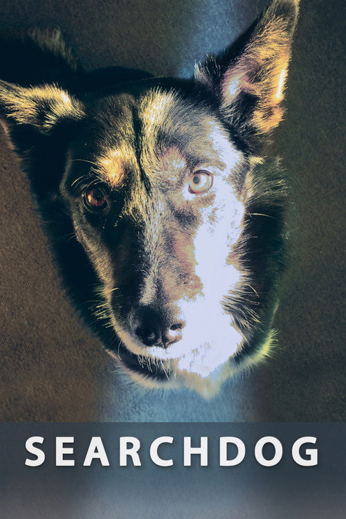 Movie poster for Searchdog (2016)