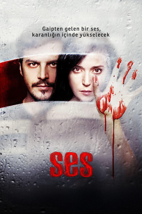 Movie poster for The Voice (2010)