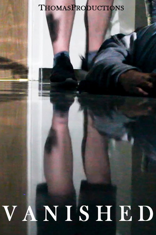 Movie poster for Vanished (2024)